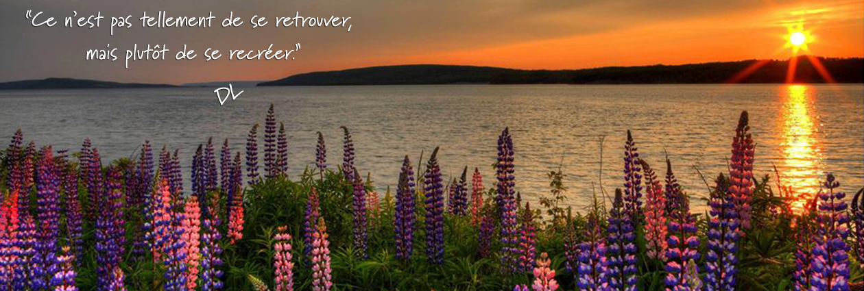 Header_se_recreer