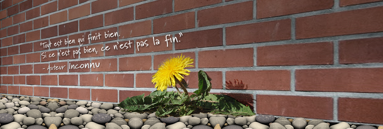 Header_tout_est_bien