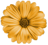 flower4.png